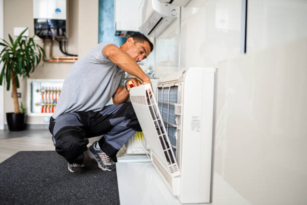 Best Air Duct Mold Removal  in Rosedale, CA