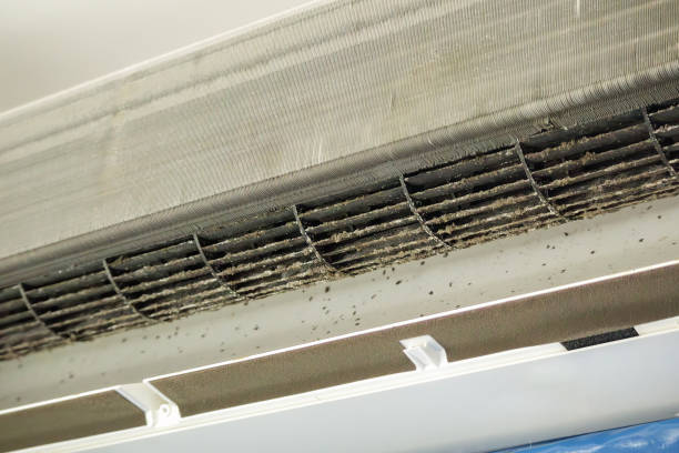 Best Dryer Vent Cleaning Services  in Rosedale, CA